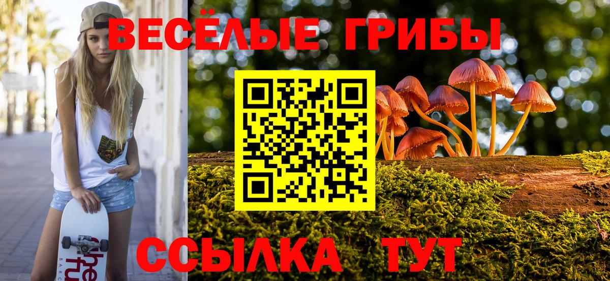 Галлюциногенные грибы GOLDEN TEACHER Бутурлиновка
