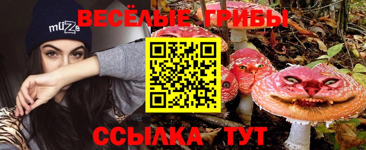 Бутурлиновка  Псилоцибиновые грибы мухоморы  Вход с VPN 
